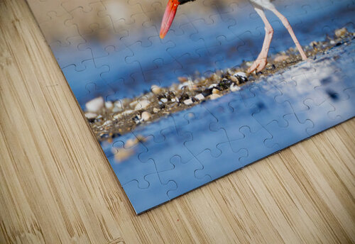  MG 5780 Razak Photography puzzle