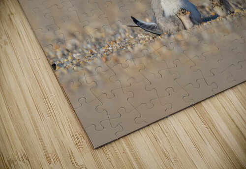 AC3Y8474 Edit Edit Razak Photography puzzle