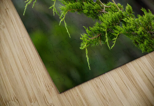  MG 2713 Razak Photography puzzle