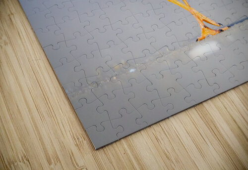  MG 3402 Razak Photography puzzle