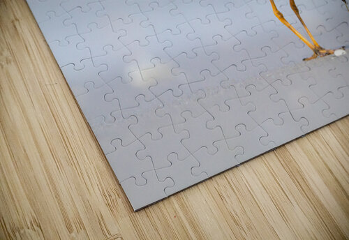  MG 3357 Razak Photography puzzle