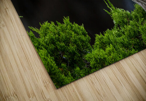  MG 2702 Razak Photography puzzle
