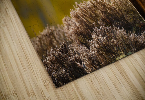  KM 1056 2 Razak Photography puzzle