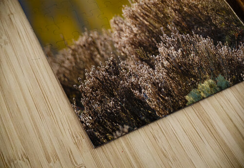 KM 1057 Razak Photography puzzle