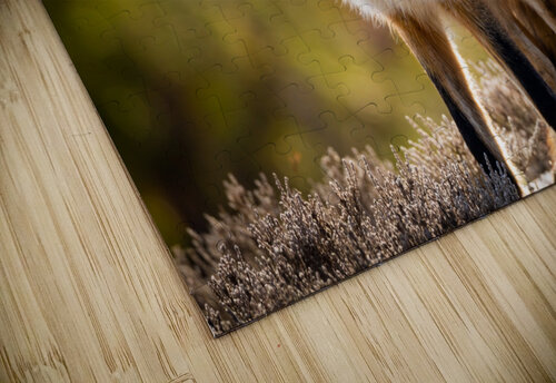  KM 1018 Edit Razak Photography puzzle