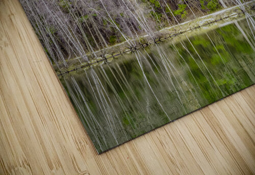 Evergreen Razak Photography puzzle