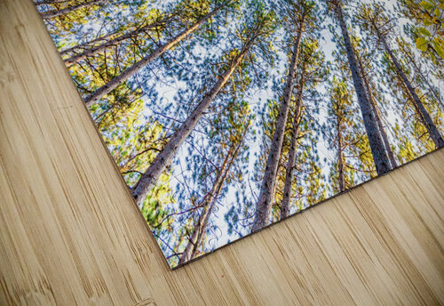 DP2L6911 Razak Photography puzzle