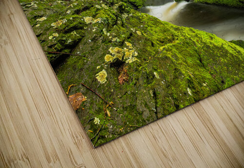 Go green Razak Photography puzzle
