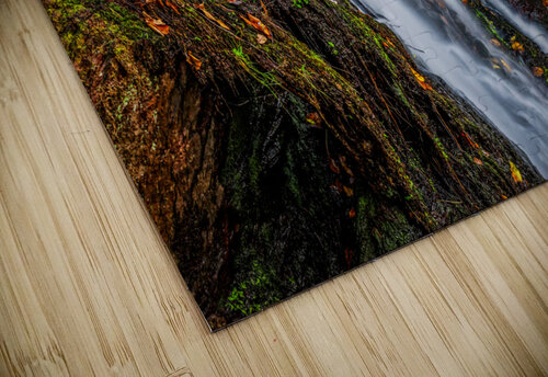 DPP07DC0A0F170249 2 2 Razak Photography puzzle