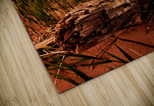 DP2L5942 Edit Razak Photography puzzle