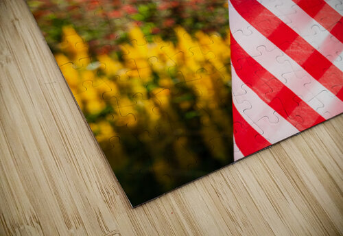 DP2L0280 Razak Photography puzzle