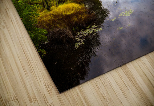 DP2L5377 Edit Razak Photography puzzle