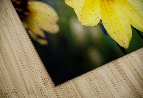 DP2L0490 Razak Photography puzzle