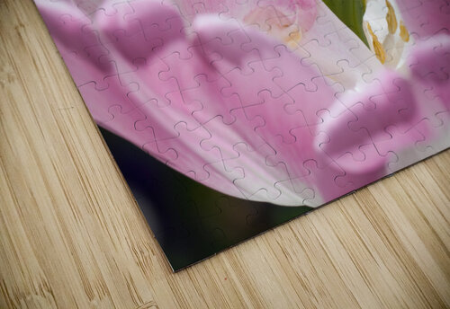 DP2L4003 Razak Photography puzzle