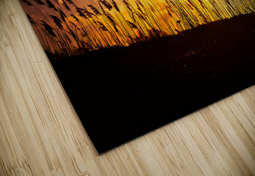 DP2L1752 Edit Razak Photography puzzle