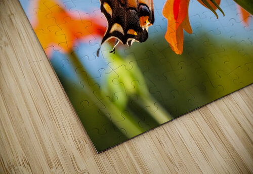 DP2L0223 Razak Photography puzzle