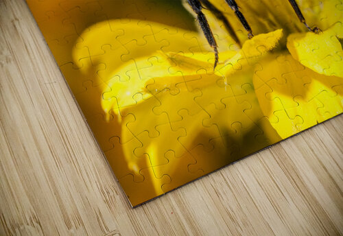 DP2L2276 Razak Photography puzzle