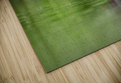 DSC05997 1 Razak Photography puzzle