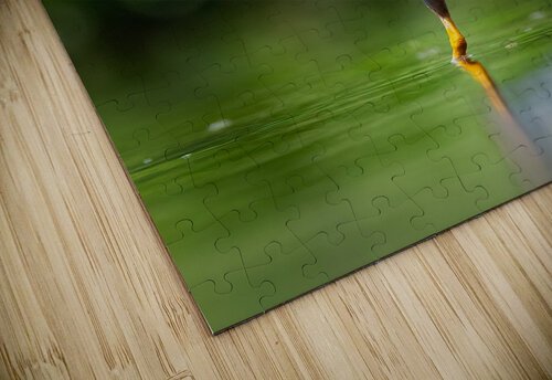 DSC06074 E Razak Photography puzzle