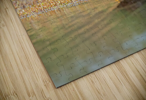 DSC05716 Edit 2 Razak Photography puzzle