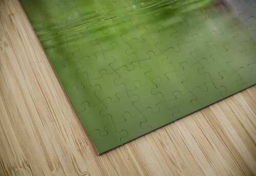 DSC05997 Edit 5 Razak Photography puzzle