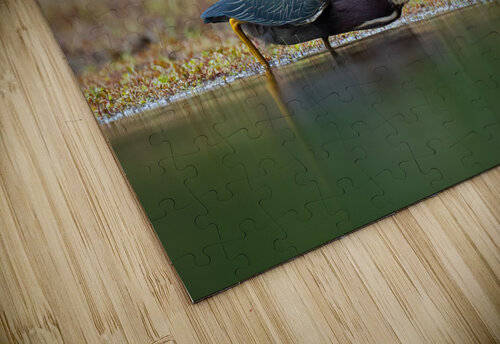 DSC06975 Edit 5 Razak Photography puzzle