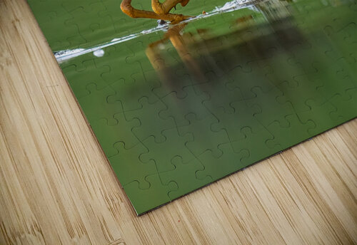 DSC09553 Edit 7 Razak Photography puzzle