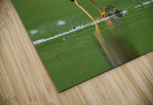 DSC09642 Edit 6 Razak Photography puzzle