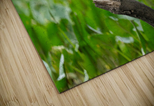 DSC09227 Edit 2 Razak Photography puzzle