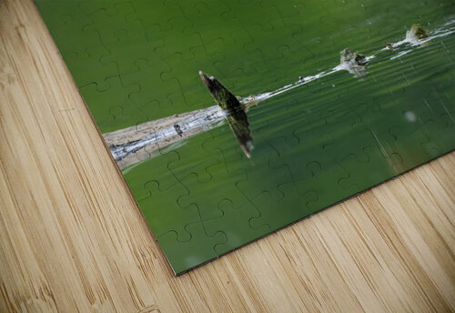 DSC00037 Edit Razak Photography puzzle