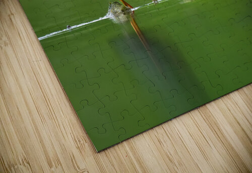DSC09787 Edit Razak Photography puzzle