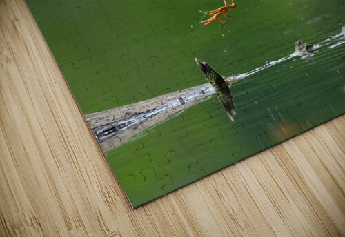 DSC00038 Edit Razak Photography puzzle