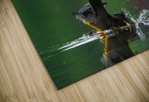 DSC09989 Edit Razak Photography puzzle