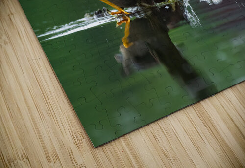 DSC09989 SR 7 Razak Photography puzzle