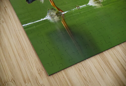 DSC09787 Edit 5 Razak Photography puzzle