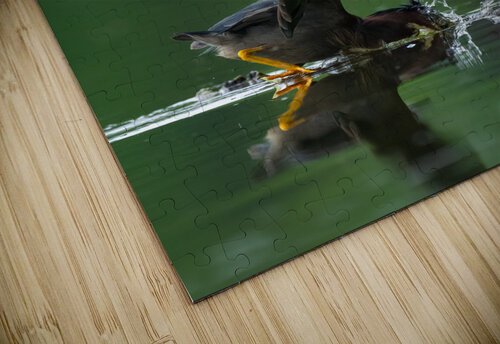 DSC09989 Edit R 5 Razak Photography puzzle