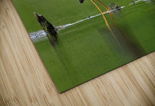 DSC09744 Edit 2 Razak Photography puzzle
