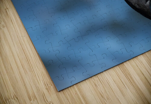DSC06875 Edit Razak Photography puzzle