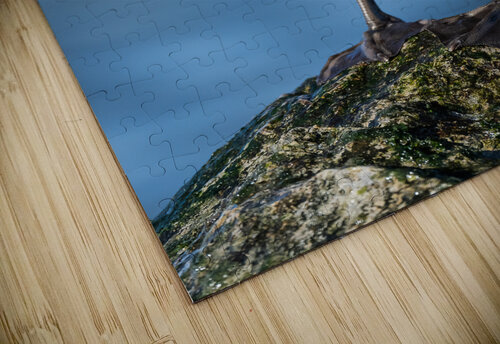 DSC01472 Edit 4 Razak Photography puzzle
