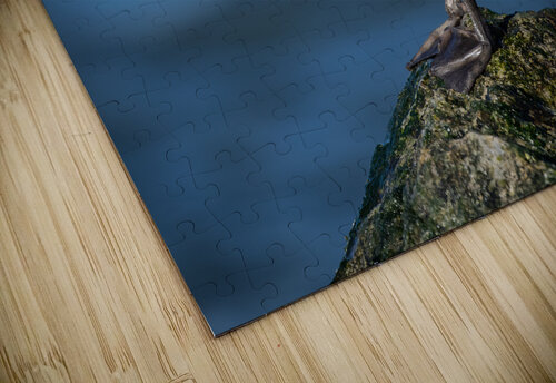 DSC01831 Edit 2 Razak Photography puzzle