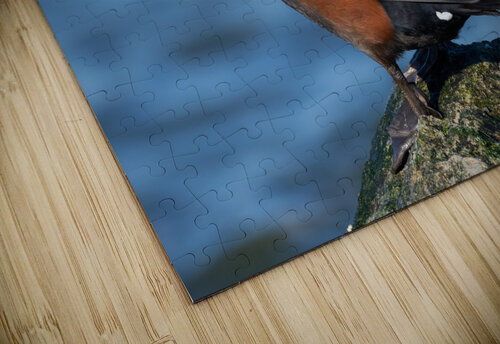 DSC09454 Edit Razak Photography puzzle