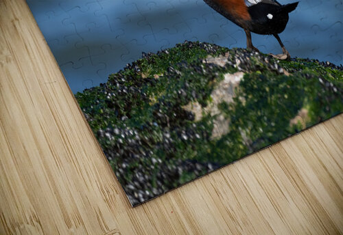 DSC05099 Edit Razak Photography puzzle