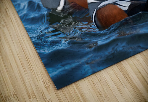 DSC01926 Edit Razak Photography puzzle