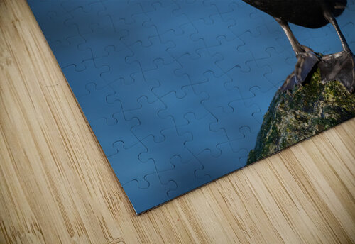 DSC01818 Edit Razak Photography puzzle