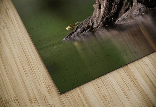 DSC04516 Edit 4 Razak Photography puzzle