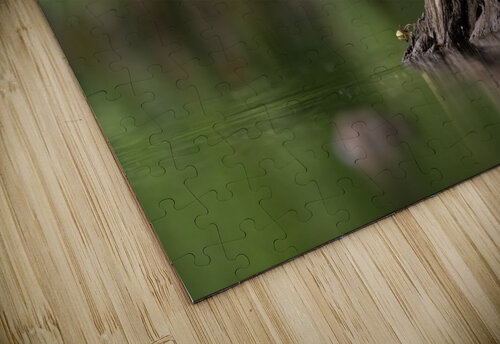 DSC04516 Edit Razak Photography puzzle