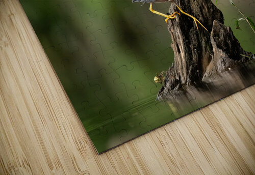 DSC04263 Edit Razak Photography puzzle
