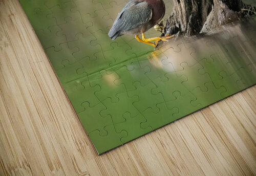 DSC00840 Edit Razak Photography puzzle