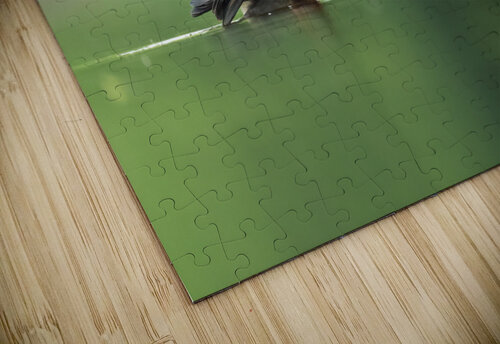DSC00801 Edit 2 Razak Photography puzzle