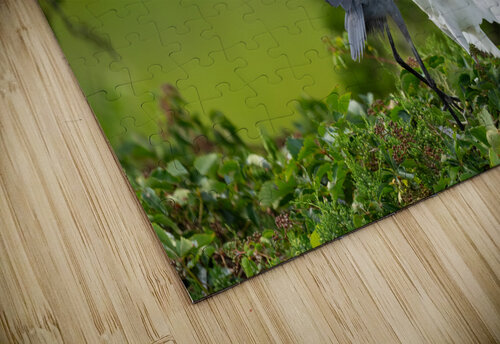 DSC03422 Edit 2 Razak Photography puzzle